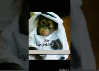  صدق هههه ههههههههههههههه