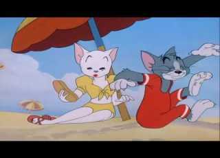  Tom And Jerry 31 Salt Water Tabby
