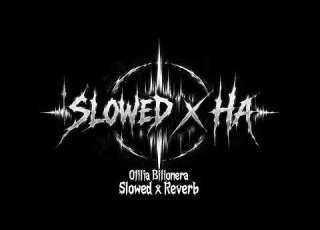 Otilia Bilionera Slowed X Reverb