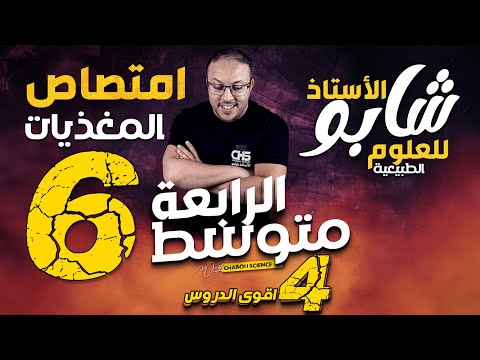 امتصاص المغذيات المورد الثاني الامتصاص الزغابة المعوية بنية المعي الدقيق الدم و اللمف امتصاص المغذيات المورد الثاني الامتصاص الزغابة المعوية بنية المعي الدقيق الدم و اللمف