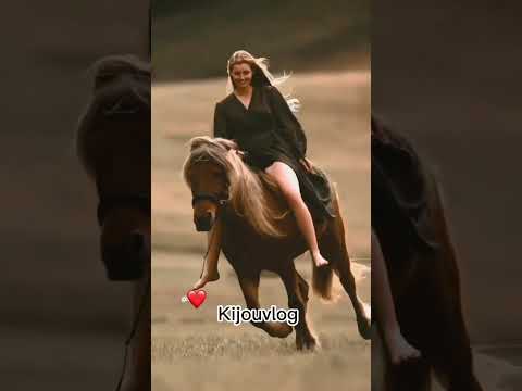 هاد زين هبلني Chab Hassni