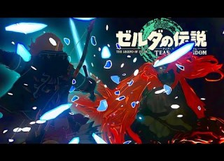 やり込みプレイヤーによるガノンドロフ戦
