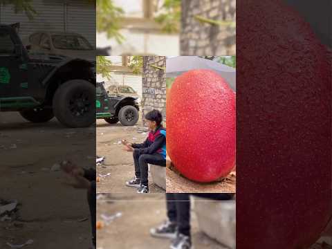 الحلقه الخامسه الثبات علي المبدا مفيش راجل علي بلد ومفيش بلد علي راجل