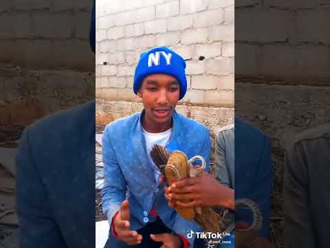 Shimallis Abdiisaa Tiktokirratti