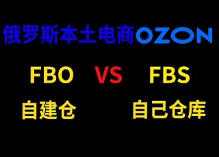  俄罗斯本土仓库 自建仓 速卖通 OZON WILDBERRIES