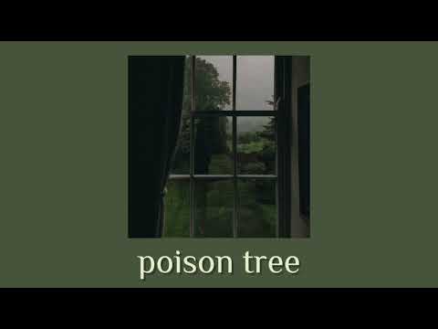 Grouper Poison Tree Instrumental Slowed Reverb
