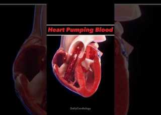 HEART ANIMATION Heart Anatomy Animation Bloodcirculation Cardiology Shorts