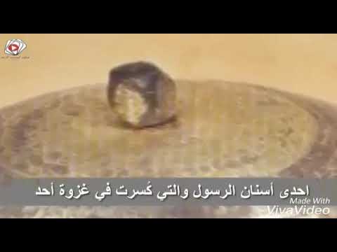 بلله يانور تخدوني نحوا الهادي الميموني عقلي شرد من راسي هوا النبي الميموني