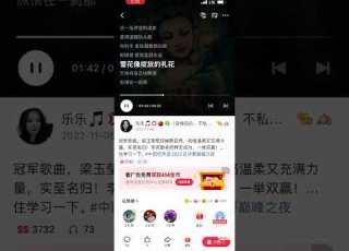  飘雪 中国好声音冠军梁玉莹版本