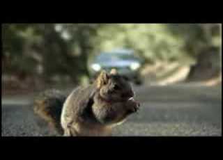  Screaming Squirrel Superbowl Bridgestone Commercial