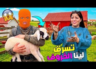 للاسف شفار دخل علينا للمزرعة وسرق الخروف الصغير ابتساام بكات