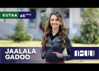 Jaalala Gadoo 65ffaa Afaan Oromoo Dubbed Series Aduu