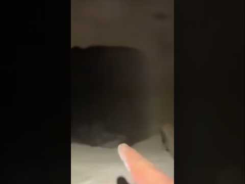 عن مداخل الفراغات المموهة والمغلقة