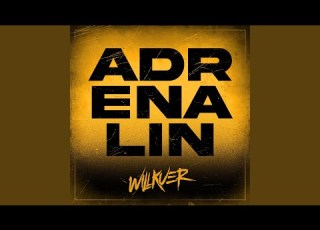  Adrenalin