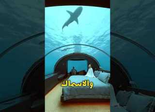 اغرب ٣ فنادق في العالم