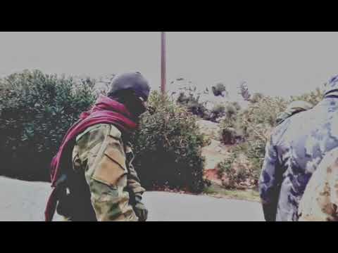 ريح الشهادة عطر ونور