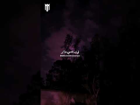 انساك ولا استنى فيها رجوع