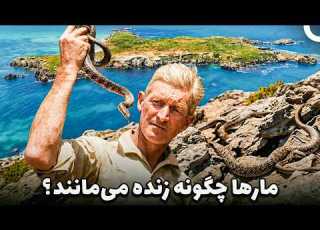 مارهای مرگبار کارناک و استراتژی های بقا مستند دوبله شده به فارسی