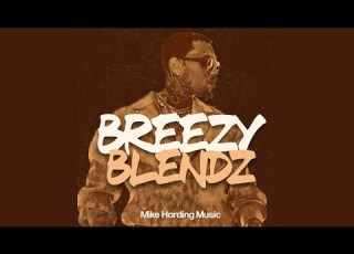  Breezy Blendz Mixtape Chris Brown Mashups Breezy Bowl Tour Special