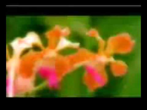 أسماء الله الحسنى إيهاب توفيق