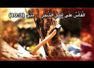 الفأس على راس الشجر