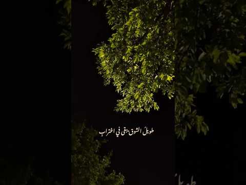 طويل الشوق يبقى في اغتراب بدون موسيقى اغاني