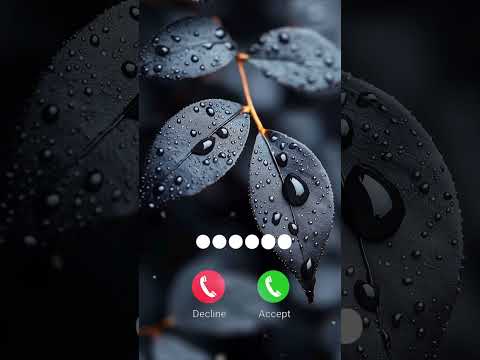 Best Bansuri Ringtone Flute Ringtone Love Ringtone Ringtone Shorts Youtubeshorts Viral