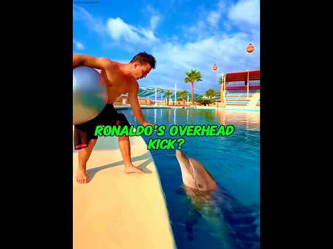 Ronaldo X Dolphin