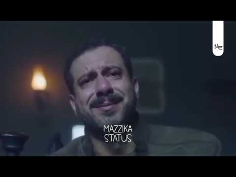 عودتني الدنيا اخسر تامر عاشور