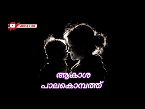 Aakasha Palakombathu Aakashamittayi Yt Ytshorts Ytviral Ytshortsindia Yt Shorts Shorts