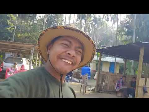 Anga Ia 2023 Bilsiode Noko Nengtakaigenok