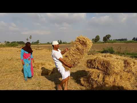 ما فعلته تفاحه في هذا الرجل شيء غريب