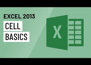  Excel 2013 Cell Basics