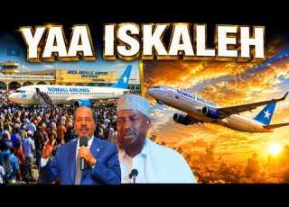  DIYAARADDA SOMALI AIRLINE YAA ISKALEH
