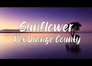  Sunflower Lyrics Rex Orange County