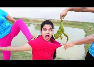 Top New Comedy Video Amazing Funny Video Best Funny Video Episode 391 By Busy Fun Ltd
