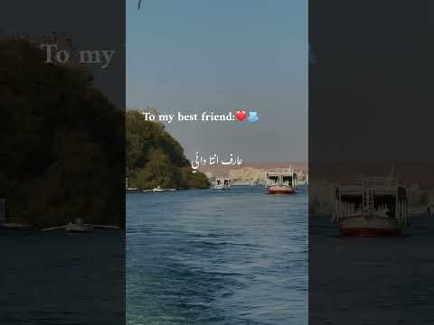 الناس بواقي