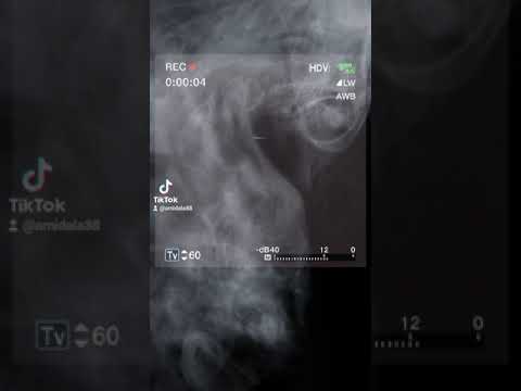 Gedicht Ich Bin Ein Kind Der Nacht