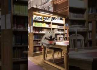 Pov You Go To Uni