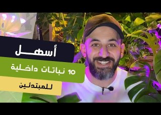 أسهل ١٠ نباتات ظلية للتربية داخل المنزل Top 10 Easiest Indoor Plants