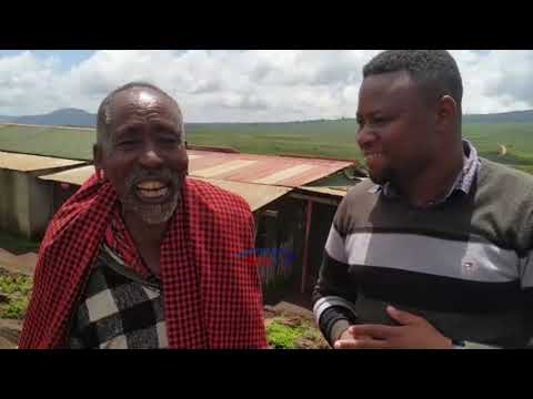 Kiingereza Cha Mzee Huyu Wa Kimasai Ni Noma Sikiliza Akiielezea Ngorongoro