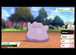  Pokémon Sword Shield كيفية العثور على البوكيمون الأعجوبة ميتامورف ديتو و طريقة مسكه
