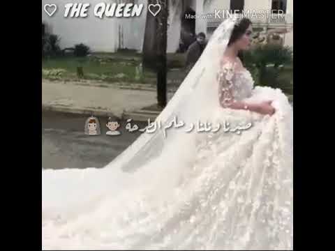 حلم الطرحة