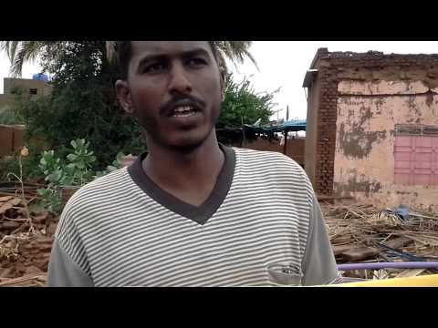 فضيحة المؤتمر الوطني في مرابيع الشريف