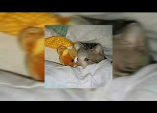 The One That Got Away Sped Up