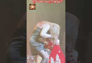 أجمل لقطة في حفلة إليسا عفوية ملهش حدود