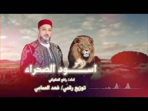 اسود الصحراء التبو رافع العكوكي