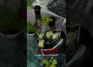 شب های بارانی گلزار شهدای مدرسه شجره طیبه میناب