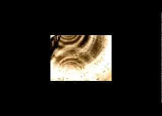  Pôle Emploi Ft Patricio Diax Actualisation Original 3995 Techno Remix