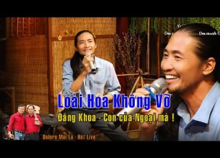 Loài Hoa Không Vỡ Đăng Khoa Chỉ Là Giao Lưu Thôi Bolero Mái Lá Hát Live